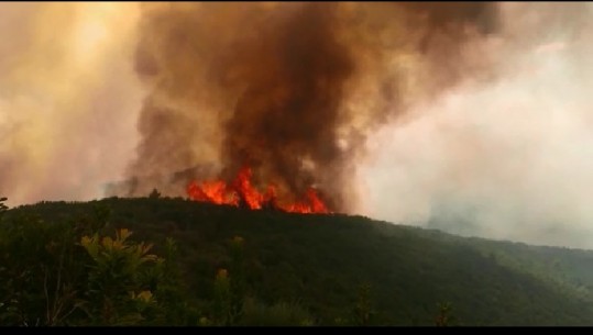 Vijon zjarri në Delvinë, flakë edhe pranë pikës kufitare në Morinë (VIDEO)