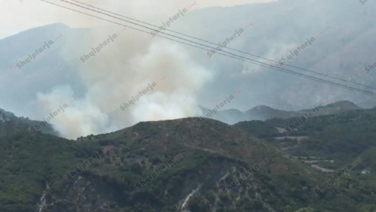 Zjarr në Selenicë, digjen kullota dhe pyje (VIDEO)