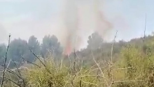 Flakët shkrumbojnë 4 ha pisha në Fushë- Krujë,  zjarri dyshohet i qëllimshëm (VIDEO)
