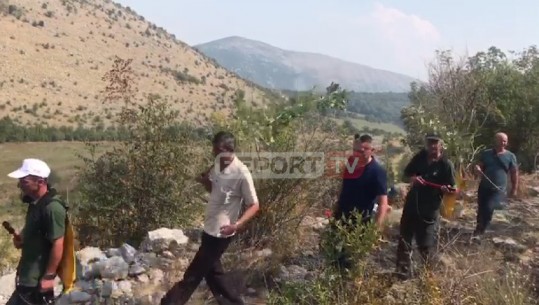 Dogji 5 ha pyje, izolohet pas tre ditësh zjarri i rënë në malin e Velipojës (VIDEO)