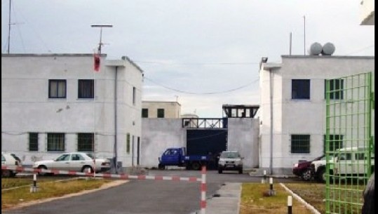 'Bis 41' zbulon kanabis në burgun e Lezhës, ishte fshehur në tarracë dhe në kuzhinë