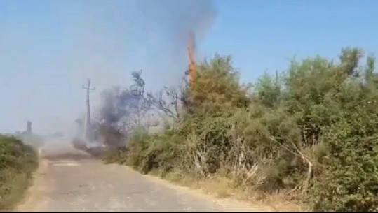 Tiranë/ Zjarr në Lundër, 4 zjarrfikëse dhe 20 forca policie në vendngjarje