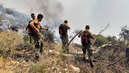 Gjendja alarmante e zjarreve në vend, Xhaçka: 99% e rasteve kanë ardhur  nga zjarrvënia e qëllimshme