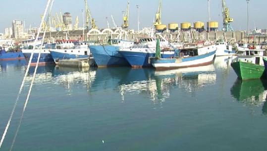 INSTAT: Sektori i peshkimit drejt zhvillimit, rritet me 17% 
