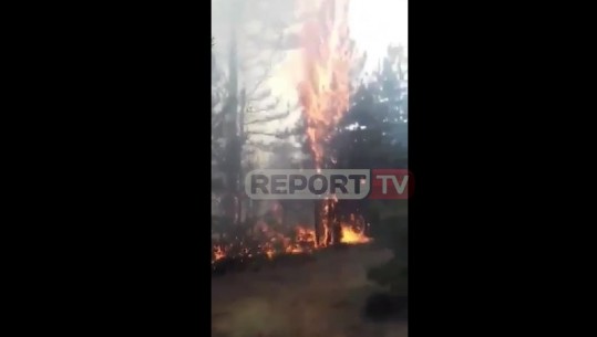 Zjarr i fuqishëm në pyjet e Lurës/ Flakët rrezikojnë disa banesa në fshatin Vlashaj, kërkohet ndërhyrja e ushtrisë