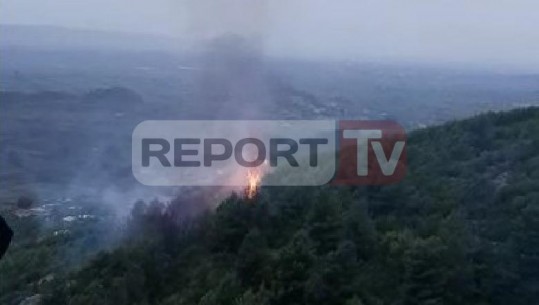 Merr flakë pylli në Borizanë të Krujës, zjarrfikësit tentojnë ta shuajnë me mjete rrethanore