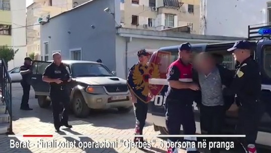 Berat/ Arrestohen 5 persona, mes tyre një inspektor policie për kultivim të lëndëve narkotike (VIDEO)