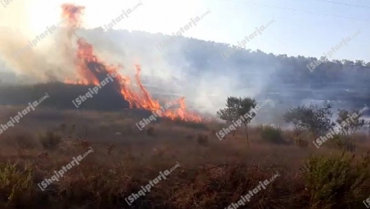 Përfshihet nga zjarri fshati Xhuherinë në Vlorë, banorët me lot në sy: Na janë djegur rreth 5 mijë rrënjë ullinj (VIDEO)