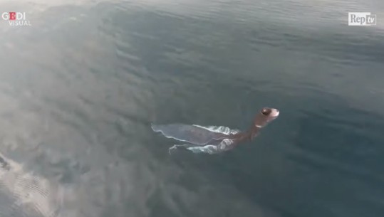 Krijesa e çuditshme filmohet duke notuar në ujërat e Vietnamit (VIDEO)