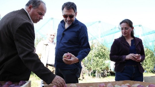 Ministri Çuçi viziton fermën më të madhe të mollëve në Korçë: Investitori, një i ardhur nga Kanadaja