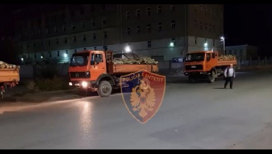 'Alpet' bllokojnë në Shkodër 8 kamionë me dru, policia: Gjoba dhe hetim për 5 inspektorë (VIDEO)