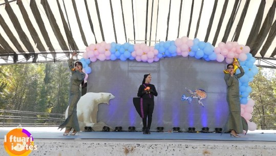 “Zoti Plastika”, ngjitet në Amfiteatrin e Tiranës shfaqja ndërgjegjësuese për ngrohjen globale