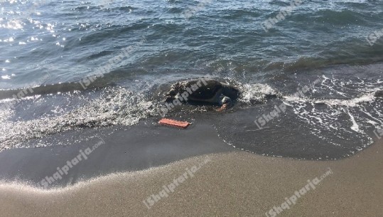Një tjetër breshkë uji gjendet e ngordhur në plazhin e Rrjollit në Velipojë (VIDEO)