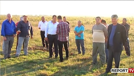 Braktisen tokat në Spille e Kryevidh të Rrogozhinës, fermerët: Shkak mungesa e sistemit te vaditjes 
