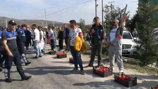 Fermerët e Lushnjes dalin sërish në protestë, kërkojnë plotësimin e 6 kërkesave (VIDEO)