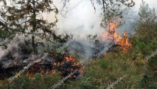 Vijon zjarri në Nikolicë të Devollit, e pamundur ndërhyrja, kryebashkiaku: Mbetemi me sytë nga qielli për reshje shiu (VIDEO)