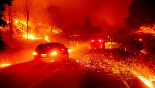 Gjunjëzohet Kalifornia, 698 ndërtesa dhe 200,000 hektarë tokë të djegura nga zjarret 