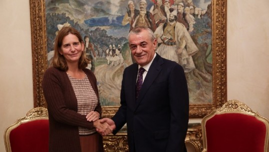 Ruçi pret Ambasadoren e Greqisë, Sophia Philippidou: Shqipëria dhe Greqia, partnerë strategjikë