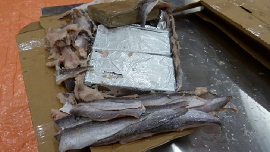 U kapën me mbi 1 ton kokainë të fshehur brenda peshqve në Roterdam, dënohet shqiptari dhe 6 bashkëpunëtorët e tij