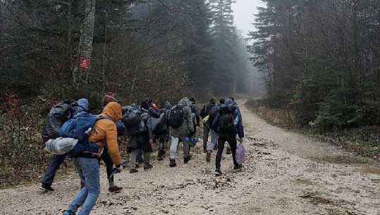 Kroaci, policia kufitare plumba ndaj emigrantëve, të plagosur rëndë 