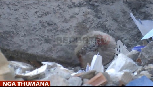 Thumanë, banori i bllokuar nxirret LIVE i gjallë nga rrënojat e pallatit, gruaja dhe fëmijët ende të bllokuar (VIDEO)