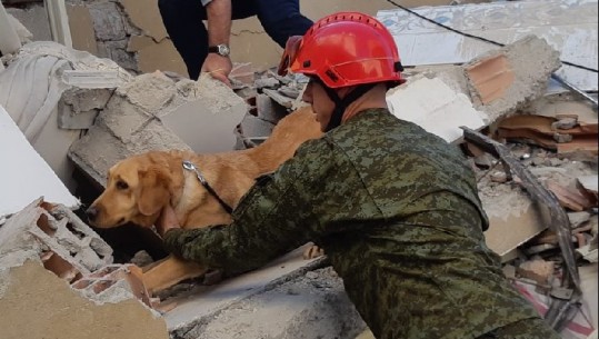 Forcat e Sigurisë së Kosovës... bashkë me qenin hero në mision për të shpëtuar jetë!