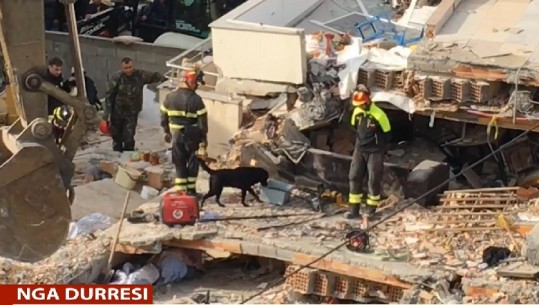 6 anëtarët e familjes Lala në Durrës ende në rrënoja/ Qeni i stërvitur nuhat në tre pika, nis hapja e tuneleve (VIDEO)