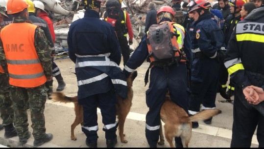 Me tre qen nuhatës, grupet kroate mbërrijnë në gërmadhat e hotel 'Mira Mare' për të bërë kontrollin e fundit