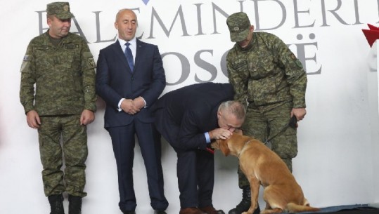 Meta puth qenin e ekipit të shpëtimit të Kosovës... citon Nënë Terezën: Kush shpëton jetë, shpëton një botë të tërë