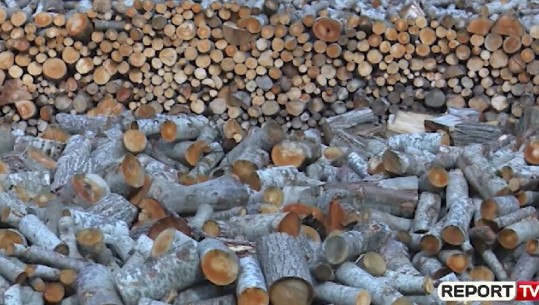 Korça kalon në minus gradë, banorët ankohen për rritjen e çmimit të drunjve: Po ngrohemi me korent! (VIDEO)