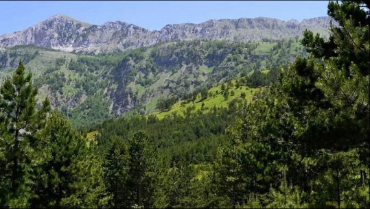 Sot, dita ndërkombëtare e maleve...çfarë duhet të dini për Munellën e bukur (VIDEO)