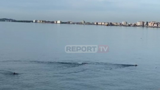 Vlorë- Plazh në Dhjetor, 'notarët' e dimrit sfidojnë temperaturat e ftohta (VIDEO)