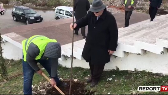 51 fidanë në nderim të 51 viktimave të tërmetit te varrezat e dëshmorëve në Shkodër, kreu i veteranëve: Në shenjë respekti 