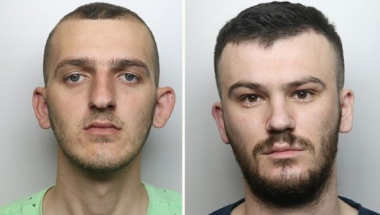 Angli/ Kultivonin bimë kanabisi në shtëpi, arrestohen dy shqiptarët e punësuar ilegalisht