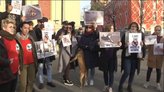 Protestë përpara Bashkisë Tiranë: Mos i vrisni kafshët (VIDEO)