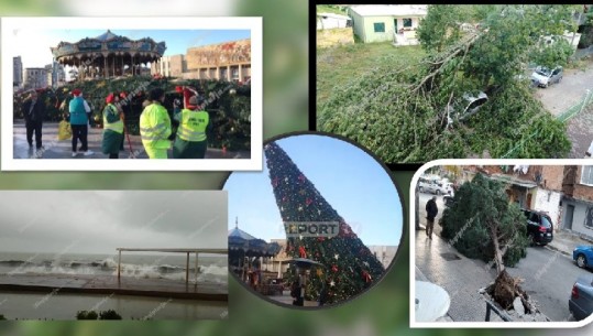 Pezullohen lundrimet Bari-Durrës, mbyllet edhe porti i Vlorës! Stuhia e erës rrëzon pemët në Tiranë, bien tullat! (VIDEO)