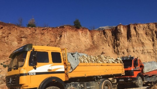 Skrapar- Kishte ngarkuar tre kamionë me gurë dekorativë në Malin e Tomorrit, arrestohet 44-vjeçari