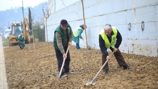 Mbillen 100 pemët e para në aksin Kombinat-Vaqarr, tre lagje të reja në Tiranë