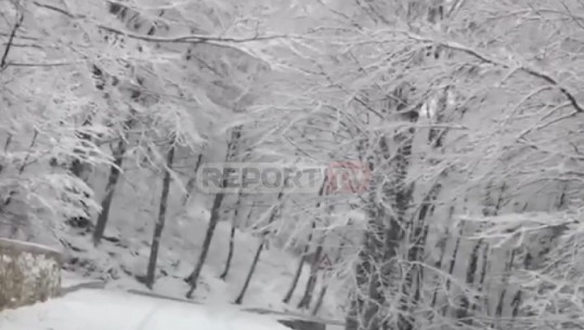Një bukuri nën dëborë! Qafë Shtama destinacioni turistik i fundjavës (VIDEO)