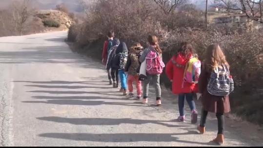 'Fëmijët ecin 7 km për të shkuar në shkollë, rrezikohen nga kafshët e egra', Ish-deputeti i PD Dibër: Qeveria të mundësojë transportin (VIDEO)
