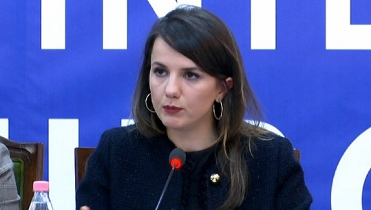 Hajdari: Duhet program për të integruar në shoqëri personat e deportuar! Të evidentohen arsyet që shtyjnë shqiptarët të kërkojnë azlil  (VIDEO)