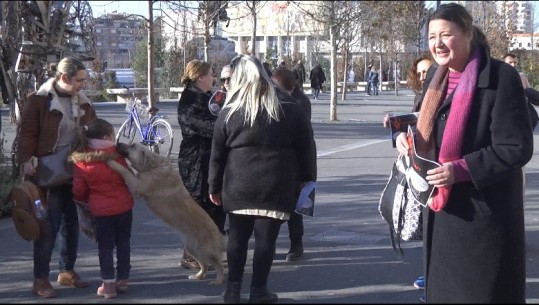Sërish protestë para Bashkisë së Tiranës kundër vrasjes së qenve: Hapni qendër strehimi