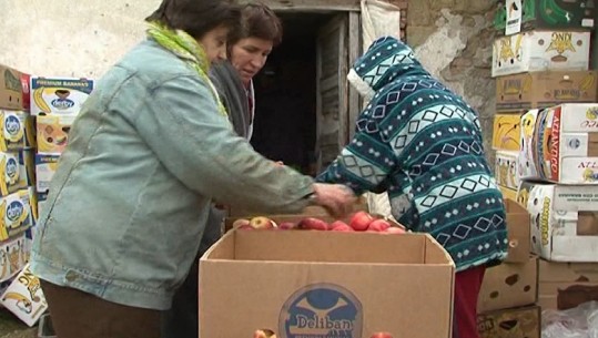 'Po na kalben në magazina', fermerët e Korçës kërkojnë treg për shitjen e mollëve