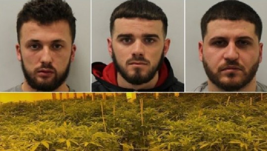 Jepet dënimi për tre anëtarët shqiptarë të 'Hellbanianz', një nga bandat më të rrezikshme të Anglisë