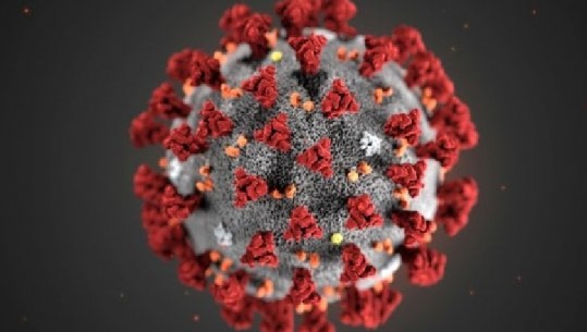SHBA-të shpërndajnë imazhin e koronavirusit kinez