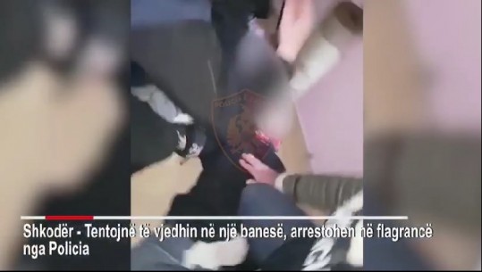Nga Vlora dhe Kurbini për të kryer vjedhje në Shkodër, dy të rinjtë (VIDEO)