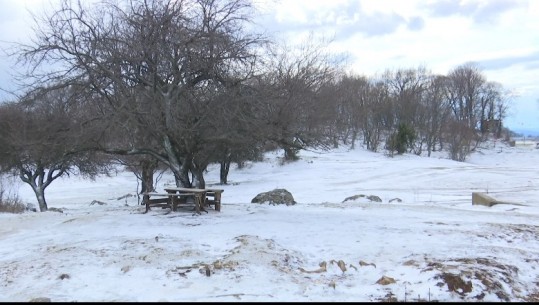 Zbardhet Dajti, qytetarët 'zhvendosen' drejt malit për borën! Meteorologia: Temperaturat e ulëta, deri të premten