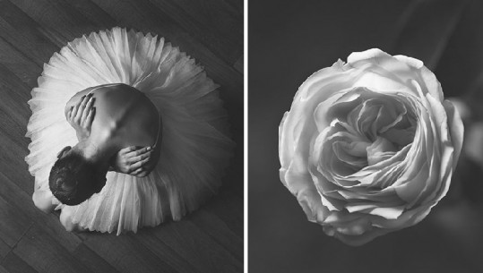 Fotografja ruse tregon ngjashmërinë mes një balerine dhe bukurisë së luleve (FOTO)