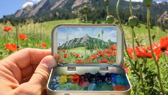 Artisti amerikan 'zhvendos' natyrën në një kuti të vogël xhepi (FOTO)