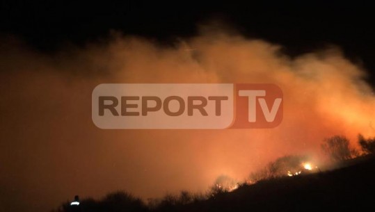 Zjarr i përmasave të mëdha në një fshat në Vlorë, digjen disa ha kullota dhe ullishte (VIDEO+FOTO)